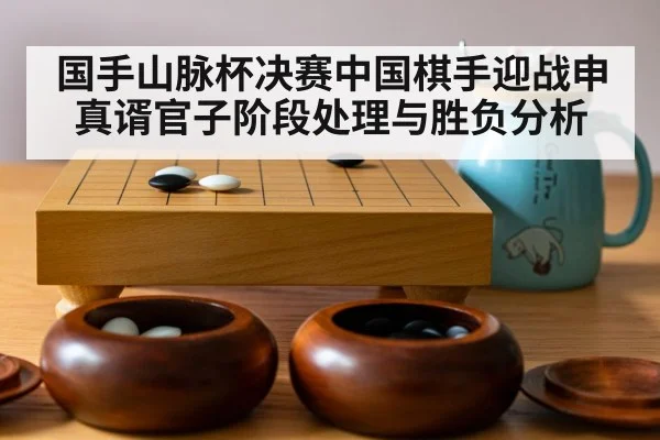 国手山脉杯决赛中国棋手迎战申真谞官子阶段处理与胜负分析